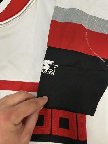 Carolina Hurricanes Arturs Irbe Starter  NHL jersey, size XL - Bild 4 von 6