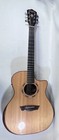 New ListingWashburn Comfort Series Wcg20Sce Acoustic-Electric Guitar