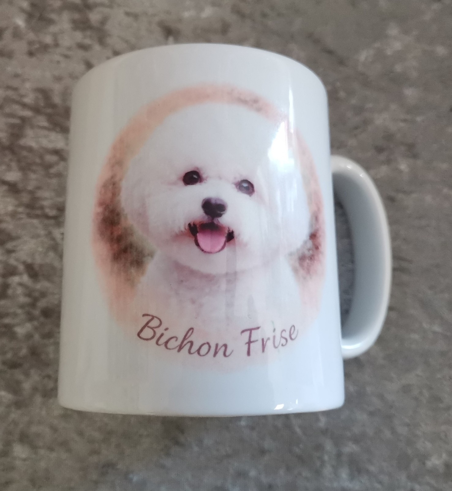 Bichon Frise 11 Oz ceramic mug