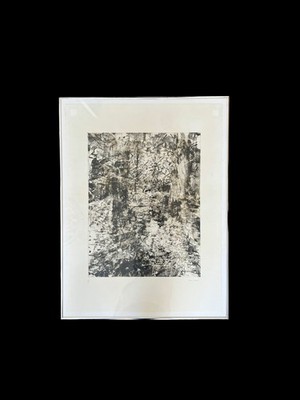 Brian Perrin Lithographie mit dem Titel Die Lücke in den Bäumen, signiert