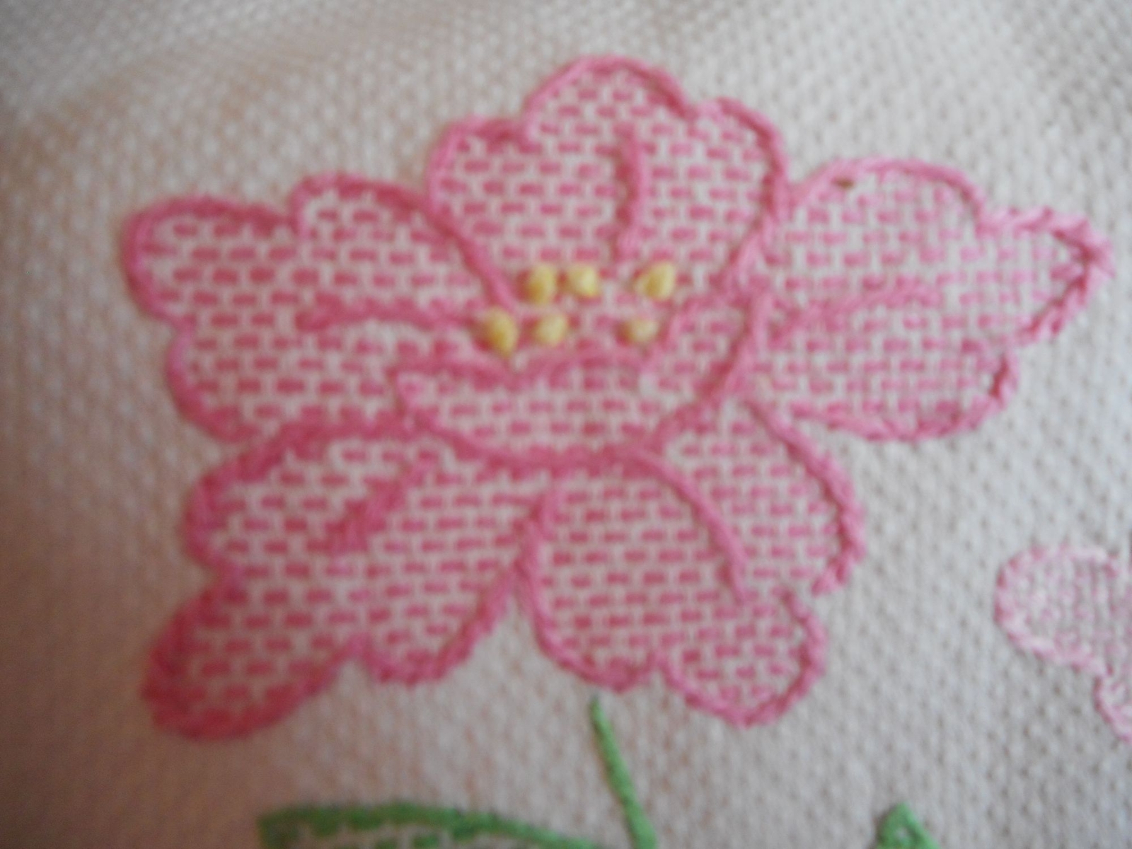 Picture 5 of 6