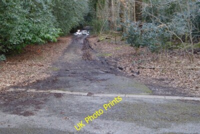 Photo 6x4 Surrey rubbish Stroude Fancy spoiling a good little bridleway l c2015