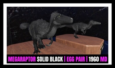ARK Survival Ascended PvE MEGARAPTOR BLACK 1960 TOP EGG Pair PC/XBOX/PS5 ASA
