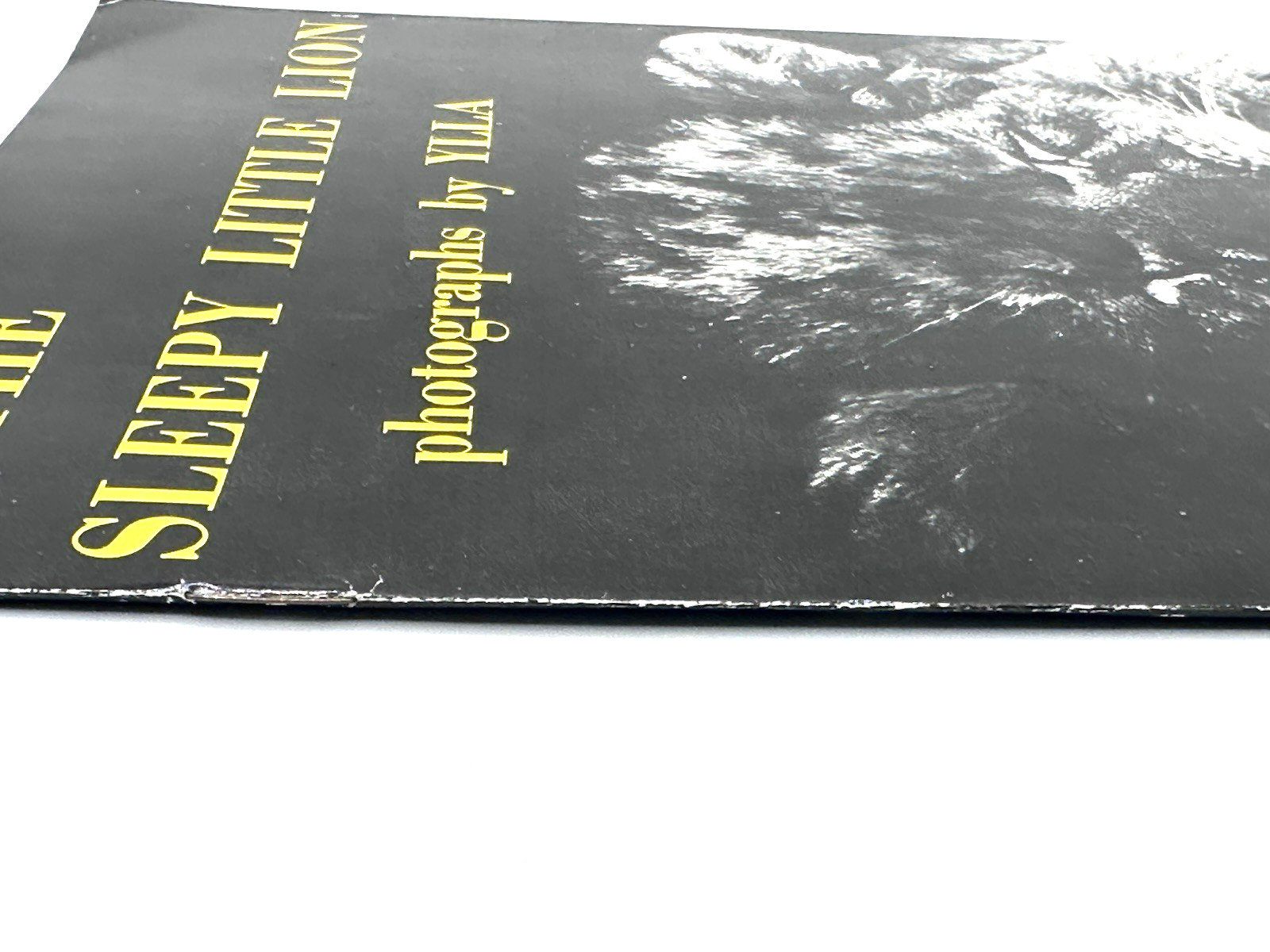 The Sleepy Little Lion by Margaret Brown (Paperback, 1947, 1975)