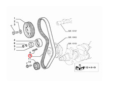 Courroie de distribution Fiat PUNTO