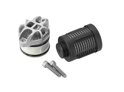 BORGWARNER Hydraulikfilter Haldex-Kupplung DS2003085 Hinten für VW GOLF VI (5K1)