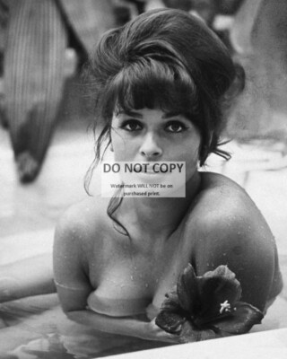 SENTA BERGER IN MAJOR DUNDEE 1965 8X10 PUBLICITY PHOTO DD708 EBay senta-berger-in-major-dundee-1965-8x10-publicity-photo-dd708-ebay