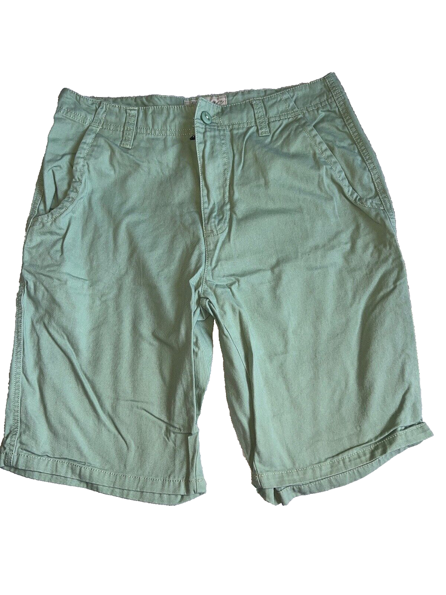 Plugg mens shorts size 33 light green walking