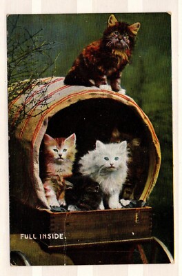 Wildt & Kray FÜNF Kätzchen in einem Zigeunerwohnwagen gebraucht 1903 (AL1271)
