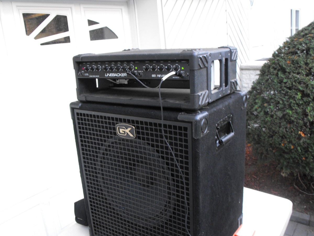Gallien-Krueger 1x15 Speaker Cabinet and 65 watts Boss Linebacker