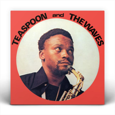 Teaspoon and the Waves Teaspoon and the Waves (Vinyl) 12'' Album (US IMPORT)
