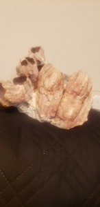 Natural Purple Acorn Barnacle Cluster 1.1 lbs 5x6