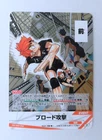 Haikyuu trading card game Hinata Shoyo HV-D01-012 D   /