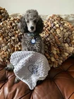 PERSONALISED DOG/PUPPY MINI FIRST BLANKET paw / HEART  EMBROIDERED
