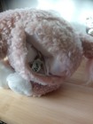 Bild 5 von 5