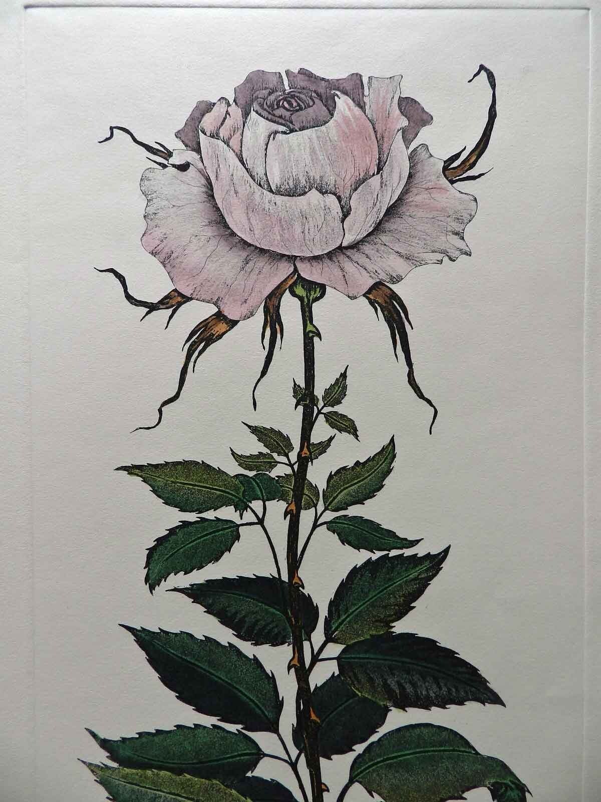 Picture 9 of 12