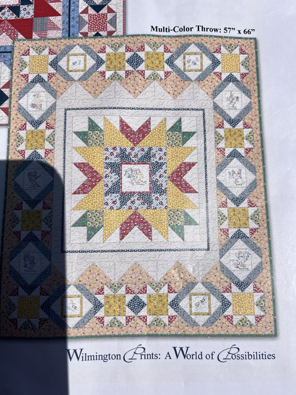 Wilmington Prints Chicken Scratch Quilt Kit w/ Project Sheet Q555-494-555