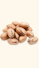 GEORGIA PREMIUM PECANS IN SHELL 5 LBS. Of FRESH 2023 NEW CROP