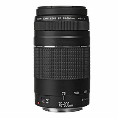 Canon EF 75-300mm f/4-5.6 III Telephoto Zoom Lens for Canon DSLR Cameras