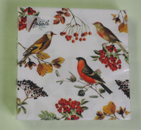20 Servietten Herbst VöGel 1 Packung Ovp Motivservietten Vogel Beeren Birds