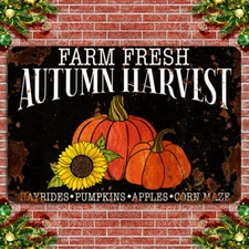 Rustic Autumn Harvest: Pumpkins & Sunflowers