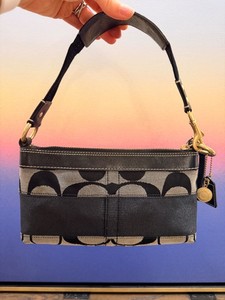 Coach Demi Pouch | eBay