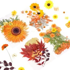 Autumn Dried Pressed Flowers Fall Dried Flowers for Resin Molds Real Natural ...