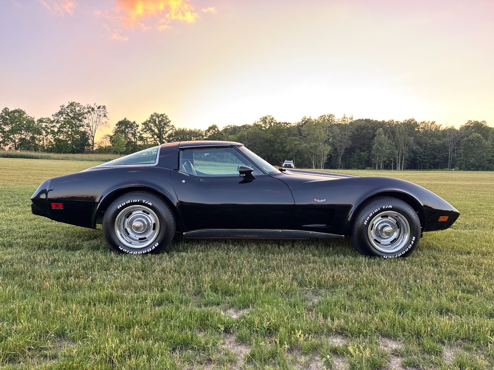 1979 Black Chevrolet Corvette   | C3 Corvette Photo 6