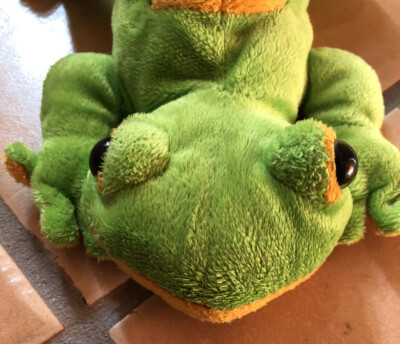 Ganz Webkinz Lemon Lime Gecko plush 15” No Code | eBay