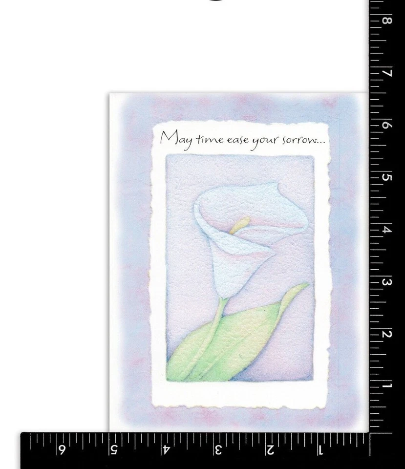 Tarjeta SYMPATHY, de American Greetings, alivia tu dolor flores púrpura + sobre Foto 3 de 4