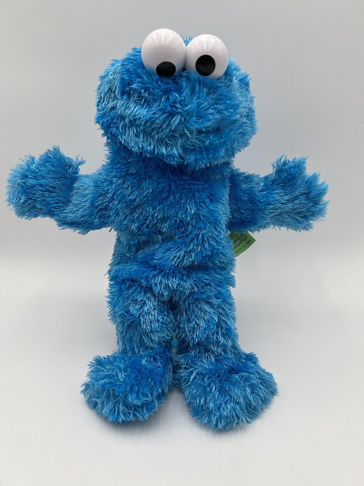 Cookie Monster Hand Puppet - not sure if this is the exact one we