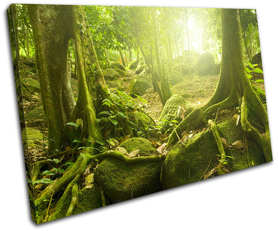 Mystical Forest Trees Landscapes SINGLE CANVAS WALL ART Picture Print VA