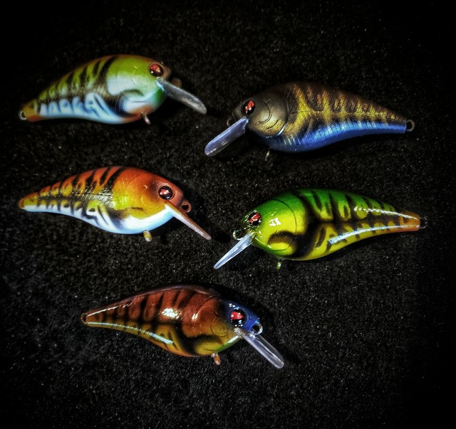 WMD Custom painted crankbaits (square bill) eBay