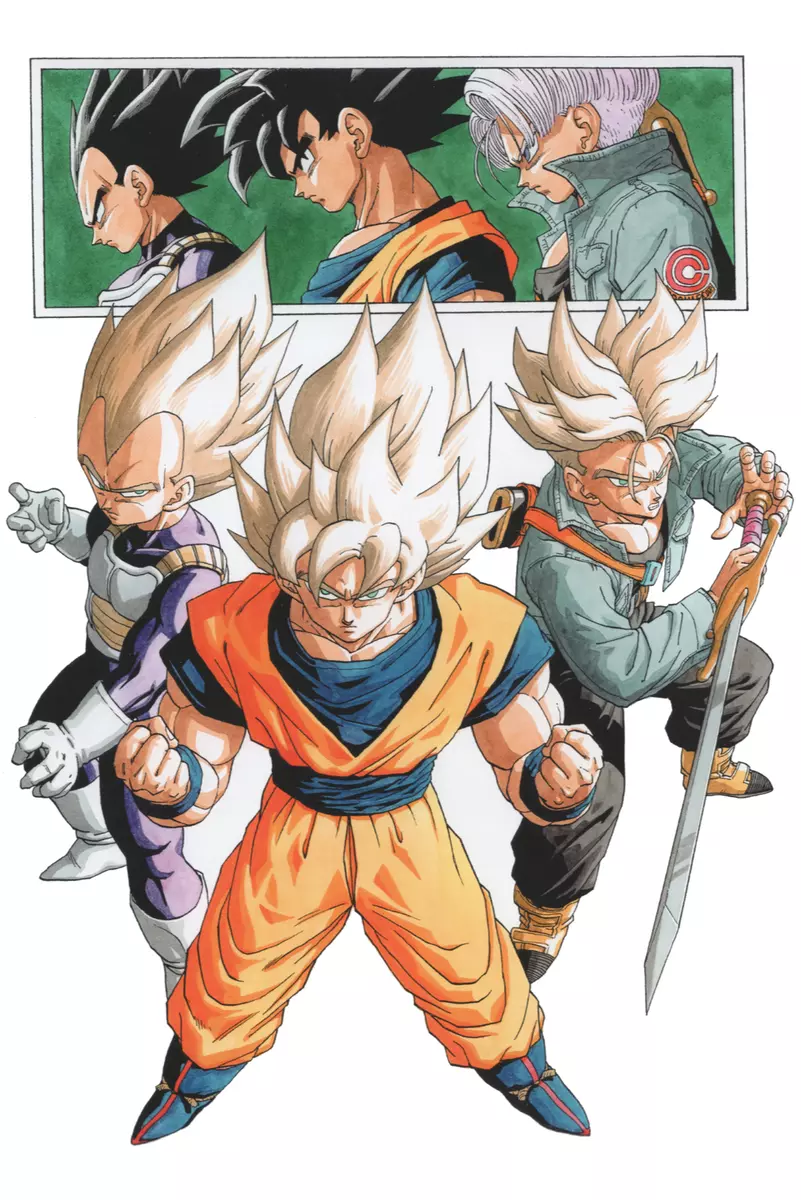 Dragon Ball Z Poster Goku Trunks and Vegeta 12in x 18in Free Shipping