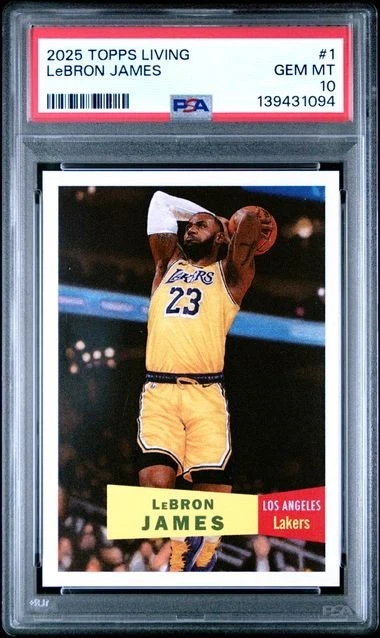 LeBron James Professional Sports Authenticator (PSA) Basketball