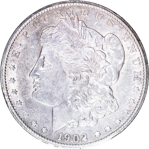 1902-S $1 Morgan Silver Dollar ~ AU Details