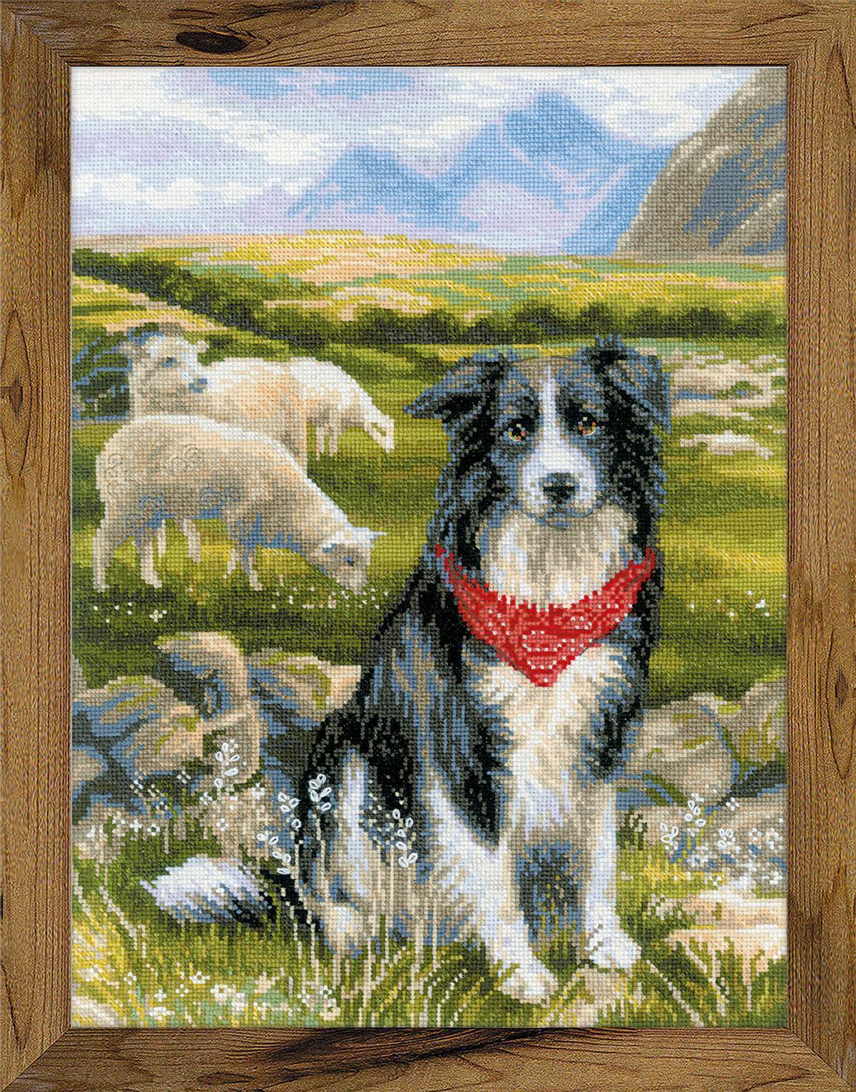 Counted Cross Stitch Kit RIOLIS 1767 - Border Collie