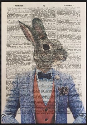 clothes for rabbits ebay