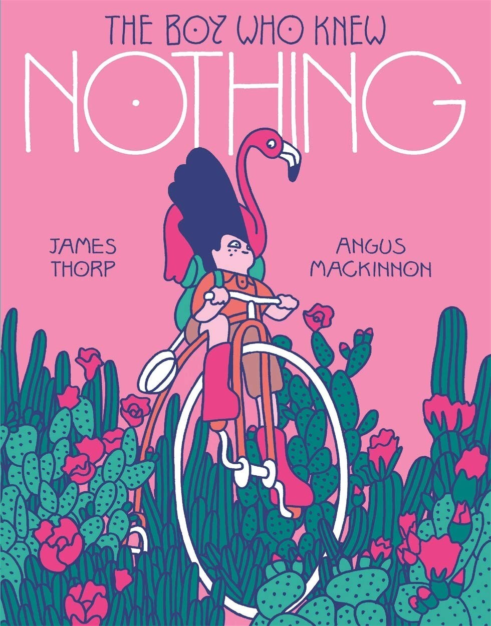 The Boy who Knew Nothing by James Thorp New Children's Story Book (Paperback)