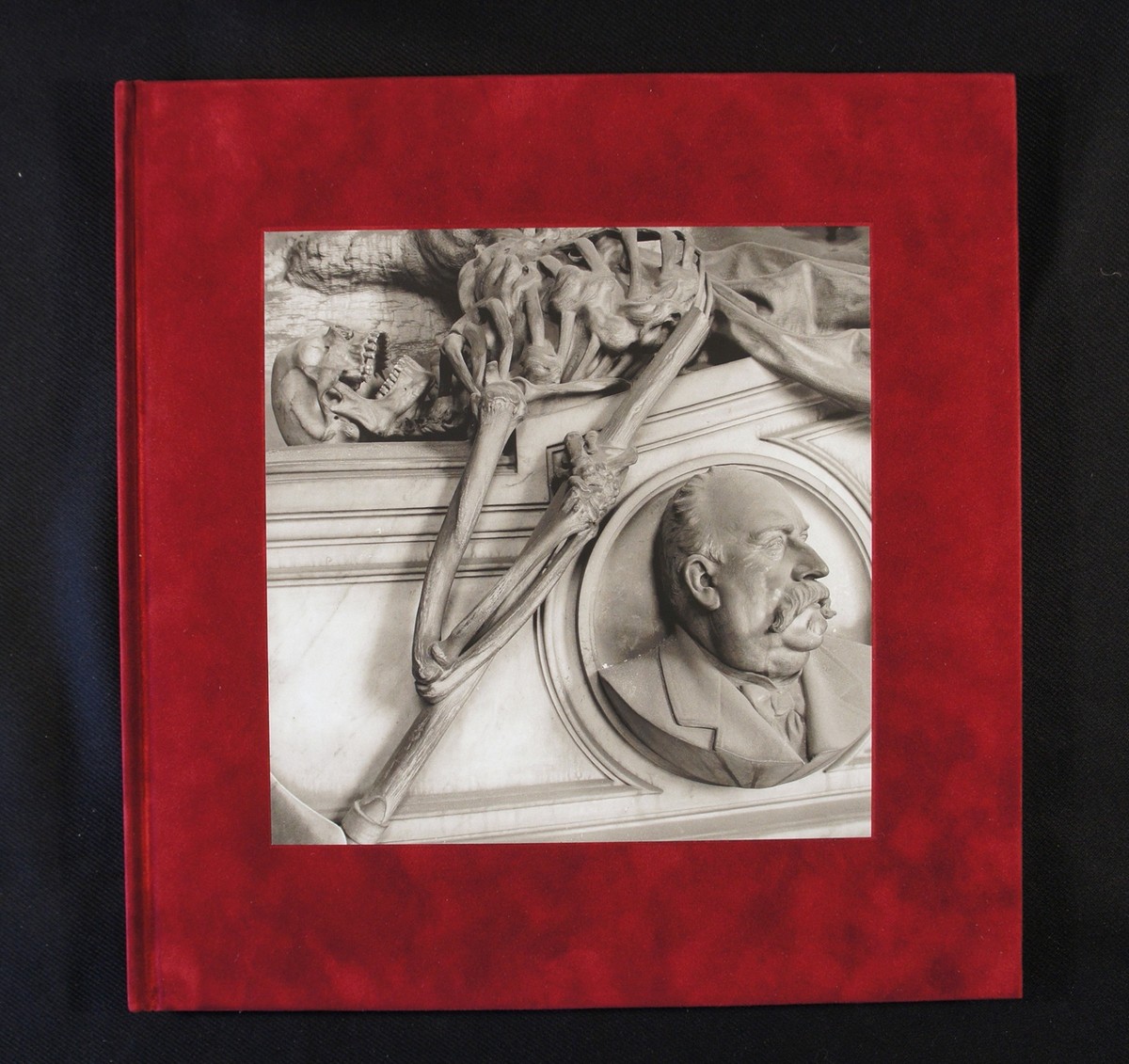 Lee Friedlander Staglieno New & Signed Photography Book | eBay
