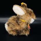 Bild 4 von 8