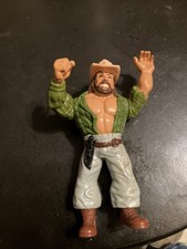 Skinner WWF Hasbro Mint Working Action