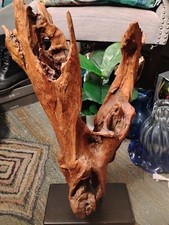 Arte in legno di radice di olmo occidentale