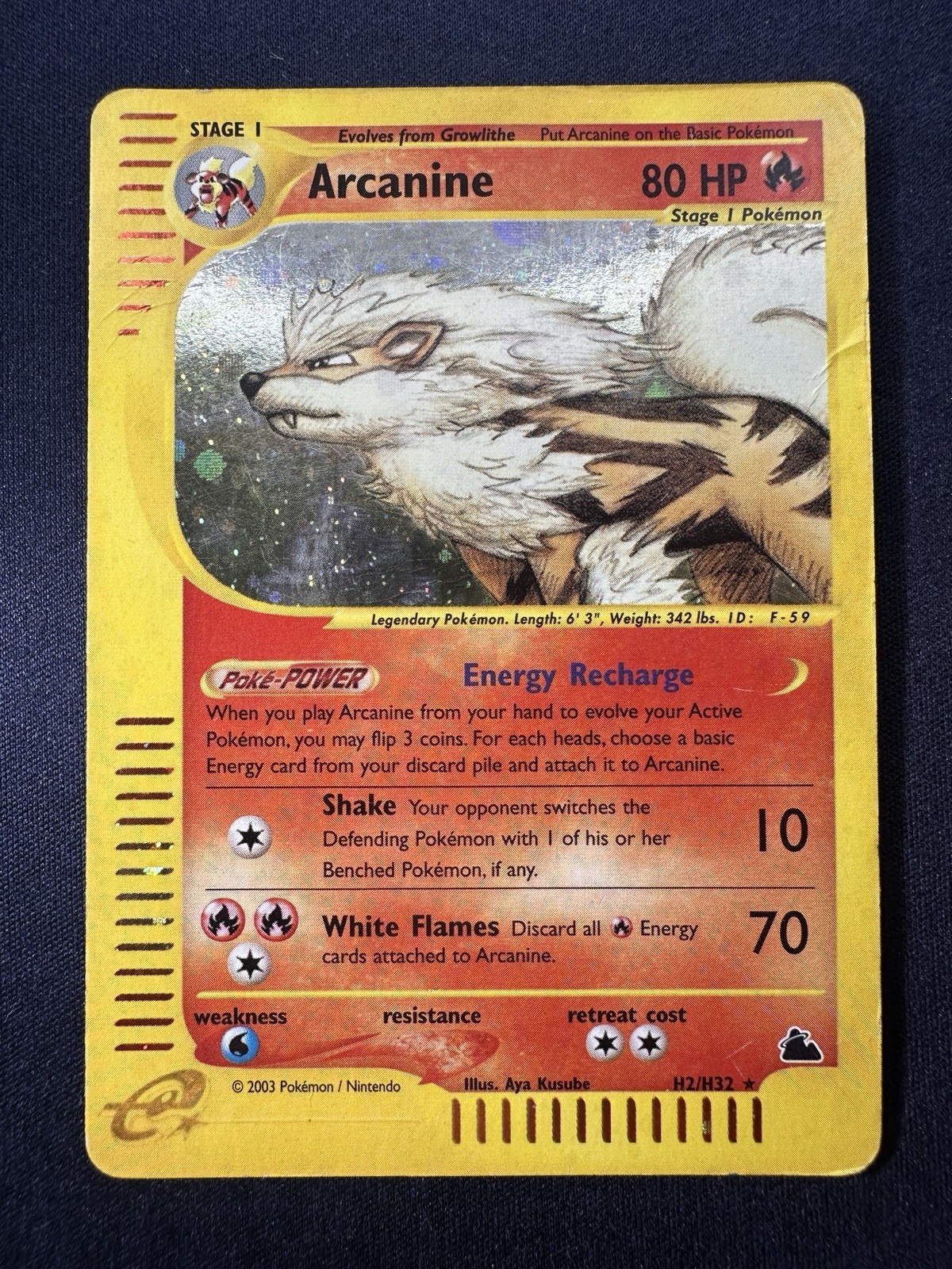 ▸ Arcanine | Skyridge | Holo Rare | H2/H32 | MP 🔥 Free Shipping B