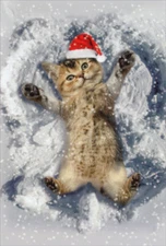 Kitten Snow Angel Cute Nobleworks Christmas Card