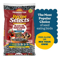 Pennington Select Black Oil Sunflower Seed Wild Bird Dry Feed, 10 lb. New Bag