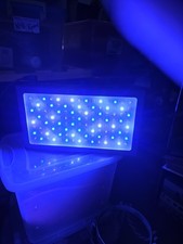 Maxsisun Grow Light Full Spectrum Led 1200 Watt