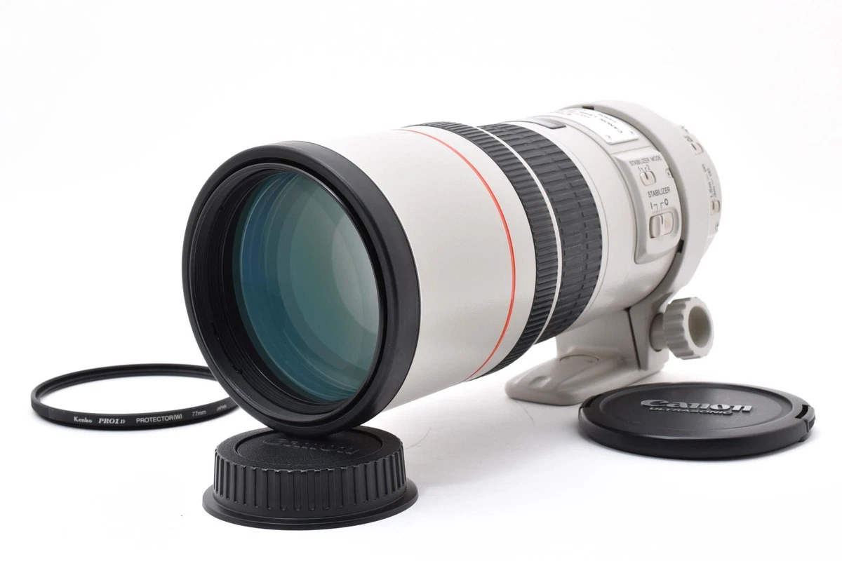 カメラ、光学機器 Canon LENS EF300mm 1:4 L IS ULTRASONIC IMAGE