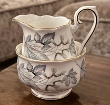 Lattiera e zuccheriera Royal Albert argento acero. Bone China inglese. Vintage 