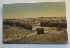 Vintage Postcard~ Petrified Forest National Third Forest Landscape ~ Arizona AZ